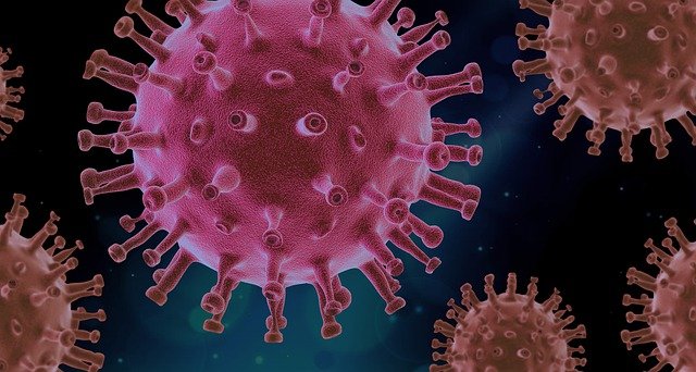 The Contagious Virus how it appears