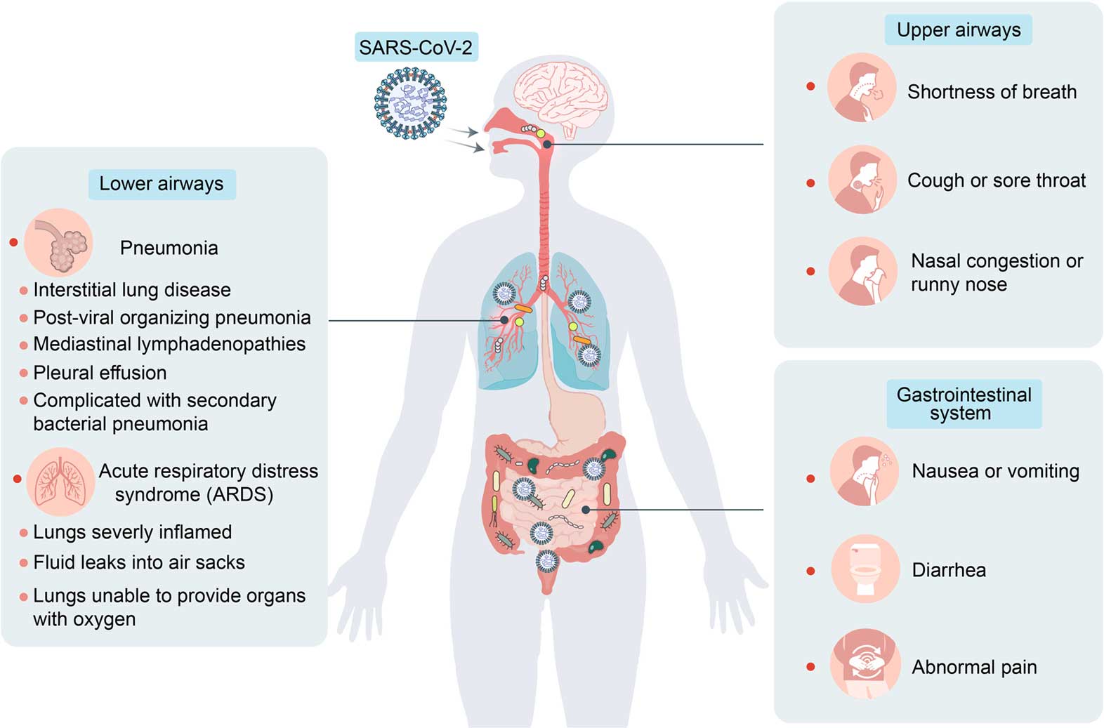 COVID-19 and Gastrointestinal Link