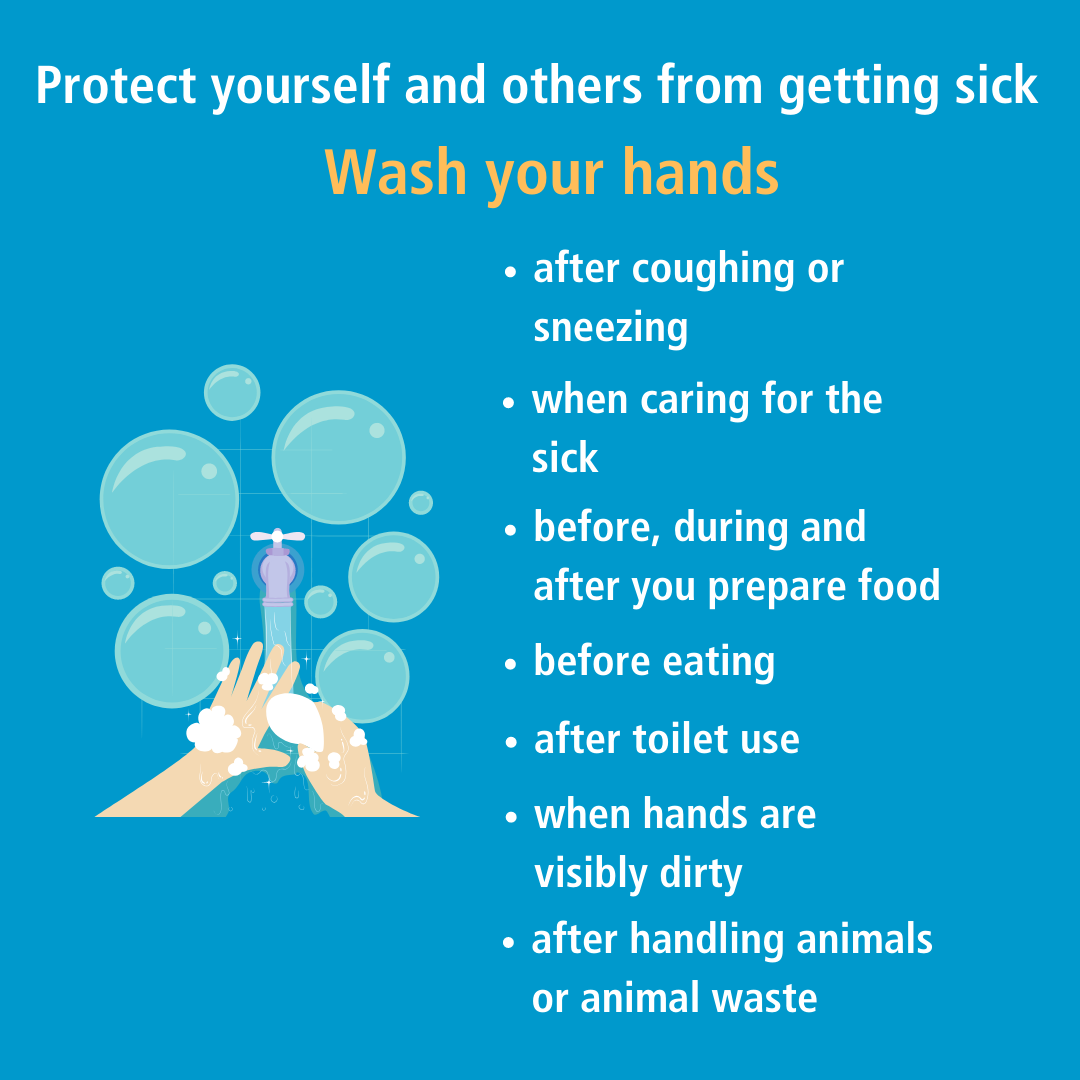 3 Reasons Why Handwashing Should Matter to You, Blogs